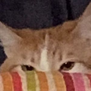 Meet your Posher, Stacy